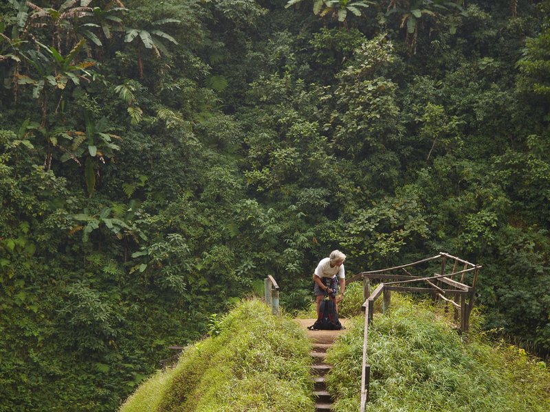 Bolaven Plateau